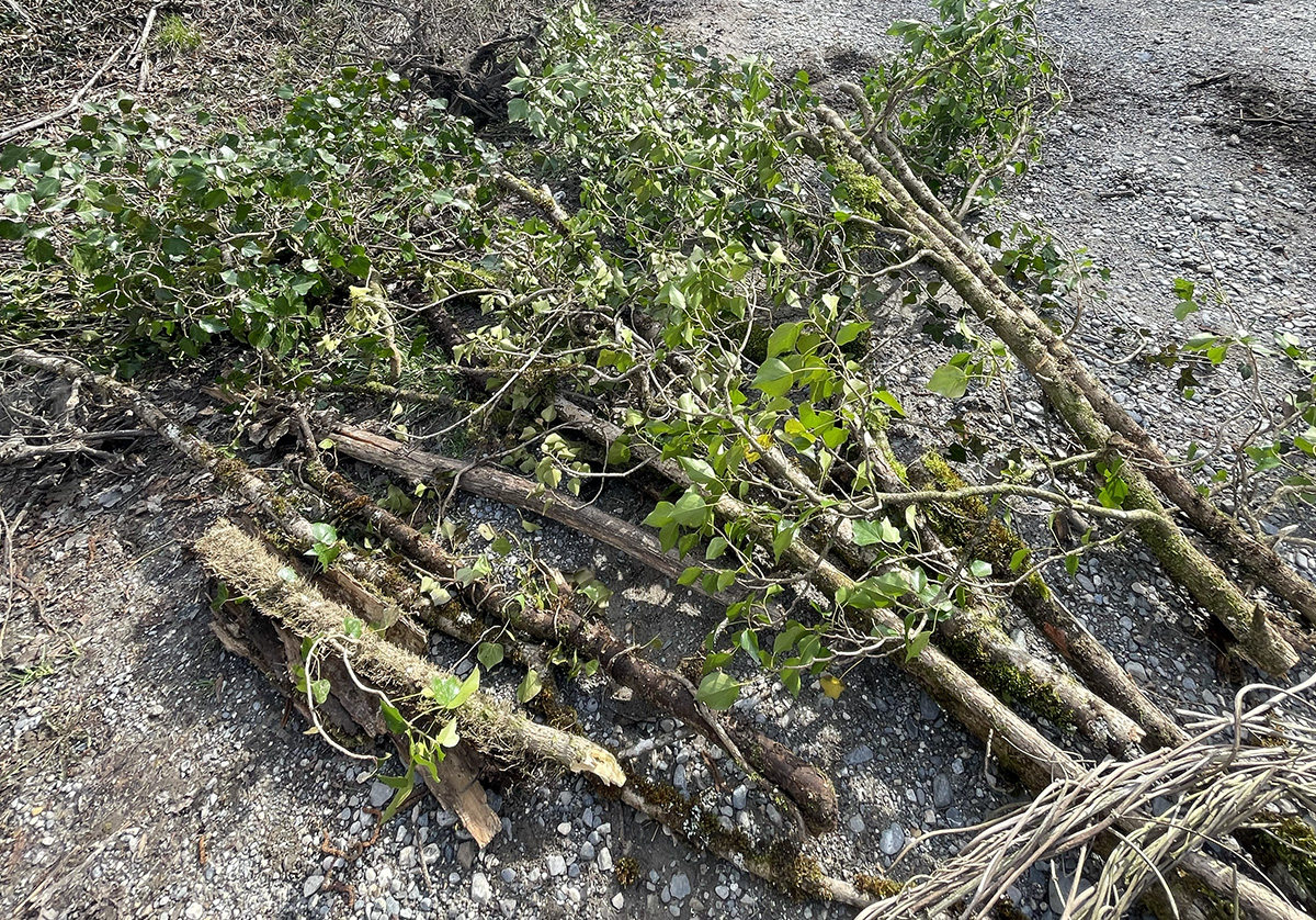 Recherche et sélection des matériaux pour l’installation